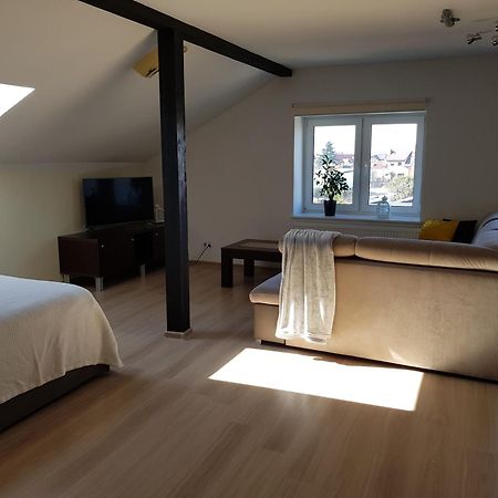 Malinowa 36 Apartamenty Хойнице Стая снимка